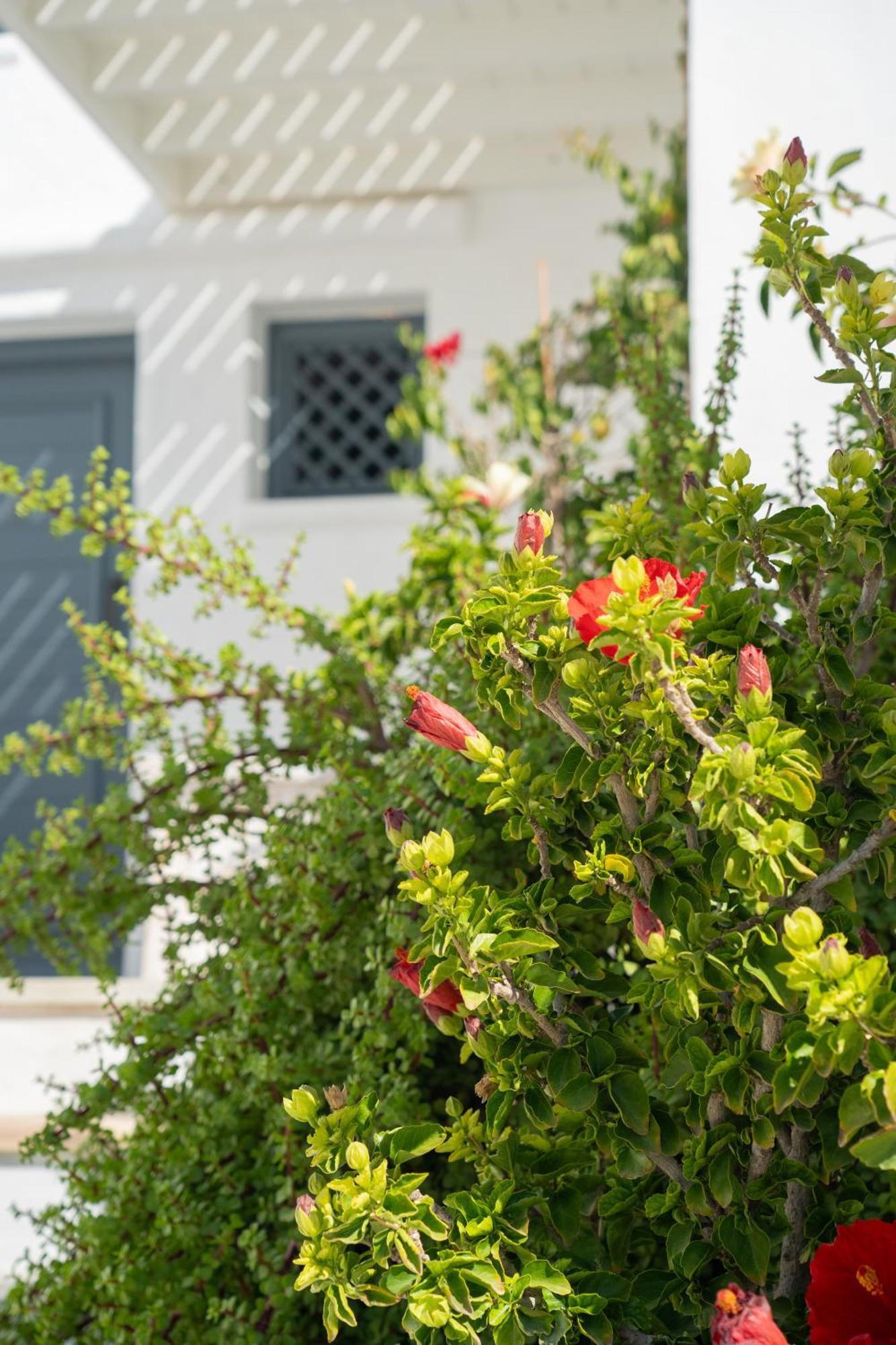 5 Traditional Suites Λιβάδι Αστυπάλαιας Εξωτερικό φωτογραφία
